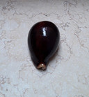 F Cypraea Pantherina 90 6 Mm F     F    Very Dark Red Color Rare Red Sea Shell