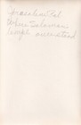 Rare 4x6 1920s Photo  Solomon s Temple Mount Jerusalem British Mandate Palestine