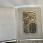 Stampin Up  Watercolor Melon Clear Stamp Set  Free Ship  Watermelon 