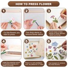 Flower Press Kit Wooden Pressing Floral Leaf Herb Diy Craft Presser With Boards
