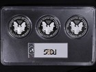 2019-w Silver American Eagle  1 Pcgs Pr70 Dcam 1st Day Issue 3 Coin Multi Moy