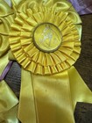 Vintage Horse Show Ribbons Lot 20 1963 1964 1965 Maryland Rosettes Awards