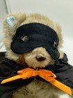Vintage 1990 Teddy Hugglesbie Plush Stuffed Bear Halloween Bear Gibson Greetings