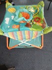 Baby Bouncer