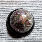 Antique Glass Dome Button Dug Design Under Glass 4-way Shank
