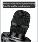 Wireless Karaoke Microphone - Black