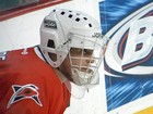 Vintage Jofa 262 Goalie Cage Facemask  Irbe Hrudey Very Rare Senior