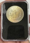 1882 P Morgan Silver Dollar Uncirculated Littleton Coin Company  2424