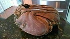 Vintage 40s Macgregor Goldsmith Leather Baseball Glove Catchers Mitt Babe Phelps