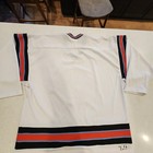Vintage Ais Minor League Hockey Ahl San Diego Gulls Jersey Men Xxl