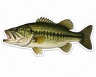 Bass Fish Sticker Fishing Decal Car Bumper Cooler Tackle Box Kayak Boat