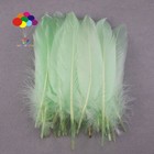Wholesale 100pcs Natural Goose Feather 15-20cm 6-8inches Various Colors