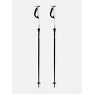 Line Paintbrush Ski Poles - 2027 - One Size   Black