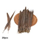 20 Pack 25-30cm Natural Pheasant Tail Feathers 10-12 Inch Long Diy Craft Party