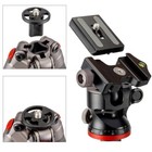 Carbon Fiber Tripod With 2-way Ball Head  13 Lb Load Capacity  Adjustable Height