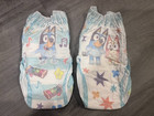 New Bluey Diaper Pullup Sample Lot  Luvs Size 8  Easy Ups Size 6t-7t