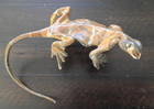 Michael Storey Bronze Lizard