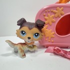 Littlest Pet Shop Lps  58 Sage Collie Paw Up Authentic Hasbro Carrier Bow Collar
