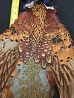 Rooster Ringneck Pheasant Skin 2 Wings Tail Fly Tying Materials Craft Feathers