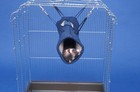 Ferret Rat Kozy Cage Bed Hammock Tunnel - Sheppard   Greene Sherpa Tunnel  