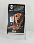 1 15 Gram Ten Pak 999 Fine Silver Bar Golden Retriever K9 Companion Series A5