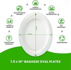 Oval Plates Disposable  10x12 5 125  Large  Ecofriendly Sugarcane Bagasse By Fpn
