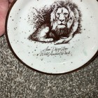 Vintage Souvenir Dish From The San Diego Zoo Wild Animal Park With Lion 4 5    New