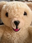 Vintage 1986 Russ Berrie Snuggle Bear  3146 Original Hang Tags Fabric Softener