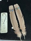 Grey Peacock Pheasant  Double  Eye Tail Feathers   60
