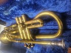 Cornet Musical Instrument - Frank Holton -  24587 - Vintage W case
