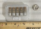 Ww2 Relics sands Of War d-day normandy Beach Sand W coa legal Sand overlord