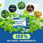 Natural Rodent Repellent Peppermint Sachets 24 Pack Mouse Mice Pest - Us