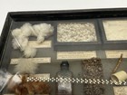 Antique Shadow Box Display Drawer W cotton Products Philadelphia Museum Quality