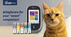 Eaglenos 5-in-1 Multi Function Total Cholesterol Tester - For Cats And Dogs