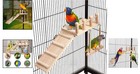 Bird Playground Birdcage Playstand Pet Bird Perch Platform Stand Parrot Play