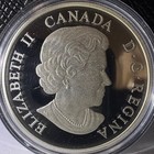2017 Canada  20 1 Oz Silver The Bold Black Bear Proof Coin