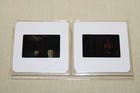 The Glass House    2 Press Kit Slides Leelee Sobieski Diane Lane Stellan Skarsg  rd