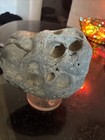 Multi Hole Hag Stone