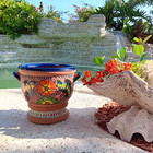 Mexican Engobe Clay Pottery Planter Flower Pot Butterfly Ceramic Talavera Urn