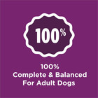 Purina Dog Chow Complete Dry Dog Food For Adult Dogs High Protein  Lamb18 5 Lb