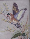 Lovely Vintage Bird Needlepoint In Deep Oak Frame 14  X 11 1 2 