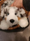 Fao Schwarz Australian Shepherd Plush Dog Soft Stuffed Blue Eye   Brown Eye