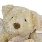 Russ Berrie Harmony Teddy Bear Bears From The Past Lace Stuffed Animal Plush  