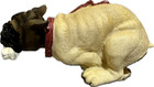 Vertical Bobble Head 6  Bulldog Pitbull Dog Nod Nodder With Bone Watch Video