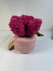 Greenhouse By Russ 12 Inch Pink Pot Succulent Plush Ultra Soft Official Jazwares