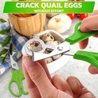 Quail Roast Egg Scissors Cut Eggshell Scissors Eggshell Opening Divider Scissors