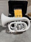 Stagg Ws-tr249s Ml-bore  Brass Body Bb Pocket Trumpet W hard Case   Mouthpiece