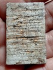 Thai Amulet Buddha Phra Somdej Lp Toh Wat Rakang Phim Yai Original Antique