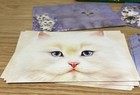 I Love My Cat  13  Blank Notecards Cards   Envelopes New In Tin Slip In Your Cat