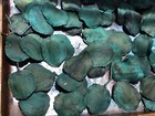 Hawaii Bob   s 15pc Blue Pods Gourds Dried Decorations  Diy Floral Arrangement 